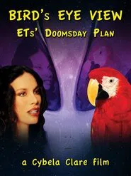 Poster do filme Bird's Eye View