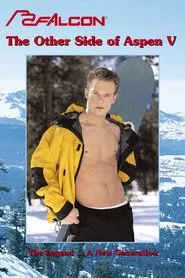 The Other Side of Aspen V movie poster
