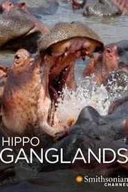 Hippo Ganglands movie poster