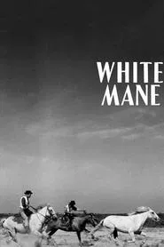 Poster do filme White Mane