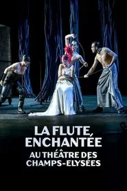 La flûte enchantée au Théâtre des Champs Elysées movie poster