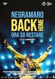 Negramaro Back Home - Ora so restare movie poster