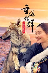 Return to the Wolves 10th Anniversary Special tv show poster