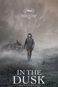 In the Dusk movie poster