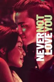 Poster do filme Never Not Love You