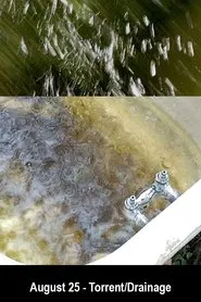 August 25 - Torrent/Drainage movie poster