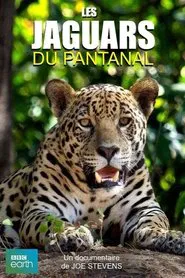 Jaguars of the Pantanal movie poster