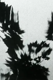 Sheller Shares Her Secret movie poster