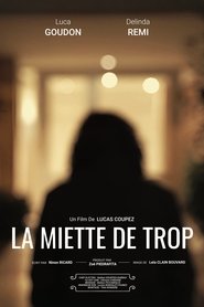 Poster do filme La Miette De Trop
