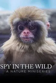 Poster da série Spy in the Wild