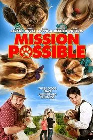 Poster do filme Mission Possible