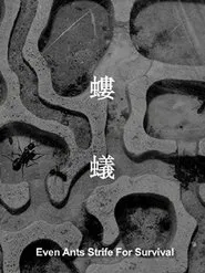 Even Ants Strive for Survival movie poster