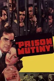 You Can't Beat the Law movie poster