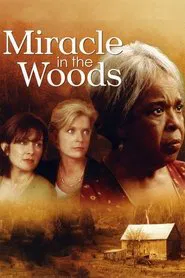 Miracle in the Woods movie poster