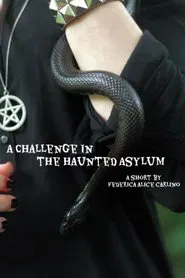 A Challenge in the Haunted Asylum movie poster