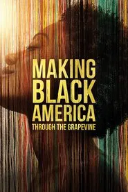 Making Black America tv show poster