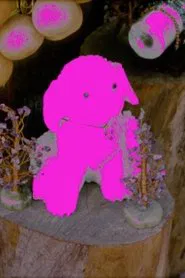 Poster do filme - force -