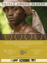 Poster do filme Prince Among Slaves