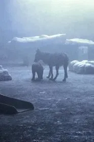 Memento Mori movie poster