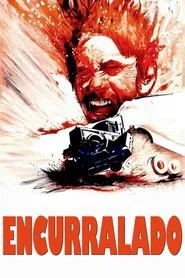 Poster do filme Encurralado
