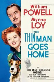 The Thin Man Goes Home movie poster