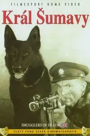 King of the Sumava movie poster