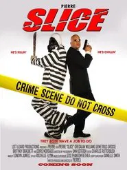Poster do filme Slice