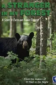 A Stranger in My Forest movie poster