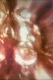 Aphrodisiac I movie poster