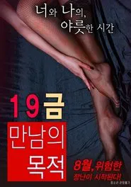 The Purpose of An X-Rated Encounter movie poster