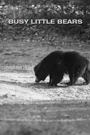 Busy Little Bears movie poster