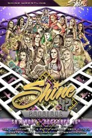 SHINE 47 movie poster
