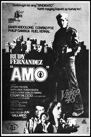 Amo movie poster