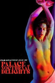 Palace of Nocturnal Delights movie poster