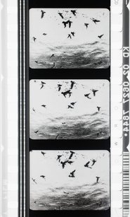 Poster do filme Images en négatif