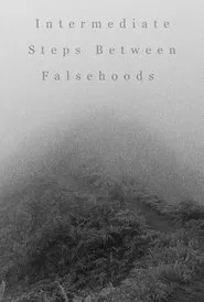 Intermediate Steps Between Falsehoods movie poster