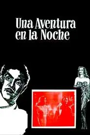 Poster do filme Una aventura en la noche