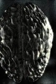 Headcleaner movie poster