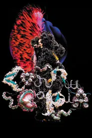 Apple Music Live: Björk movie poster