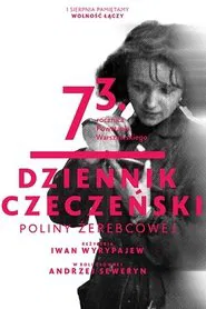 The Chechen Diary of Polina Zerebova movie poster