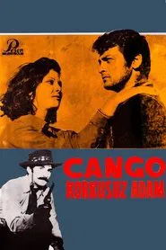 Poster do filme Django - Fearless Man