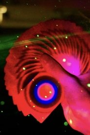 Dirty Eye movie poster