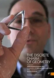 The Discrete Charm of Geometry movie poster