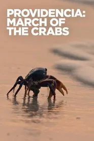 Providencia March of the Crabs movie poster