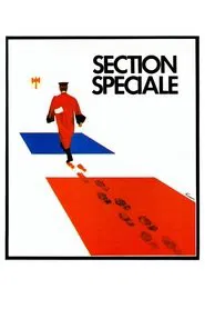 Special Section movie poster