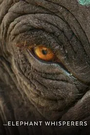 The Elephant Whisperers movie poster