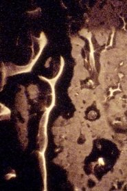 So Sure of Nowhere Buying Times to Come movie poster