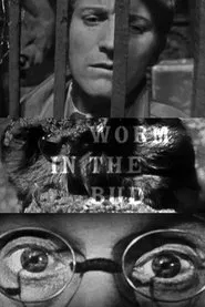 Worm in the Bud movie poster