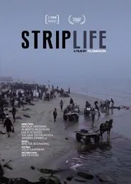 Striplife movie poster