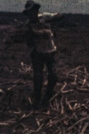 Bangüê movie poster